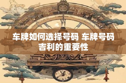 车牌如何选择号码 车牌号码吉利的重要性