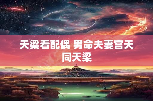 天梁看配偶 男命夫妻宫天同天梁