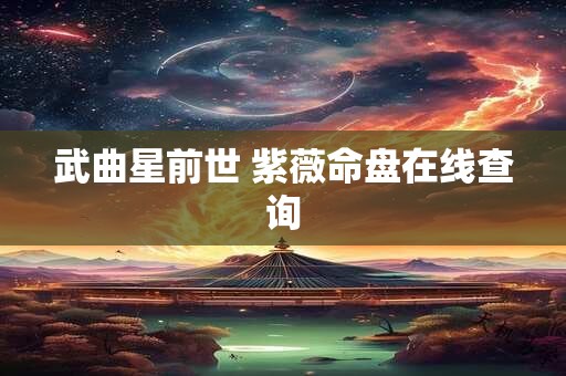 武曲星前世 紫薇命盘在线查询