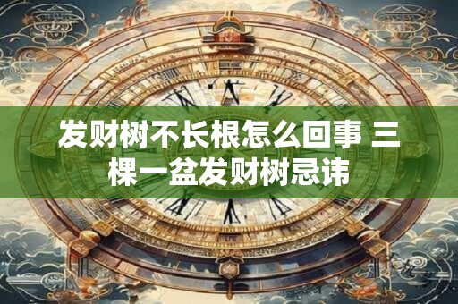 发财树不长根怎么回事 三棵一盆发财树忌讳