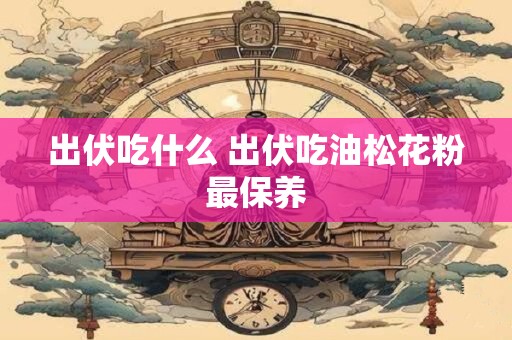 出伏吃什么 出伏吃油松花粉最保养