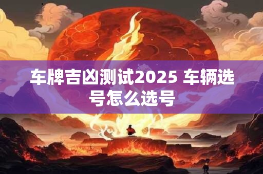 车牌吉凶测试2025 车辆选号怎么选号