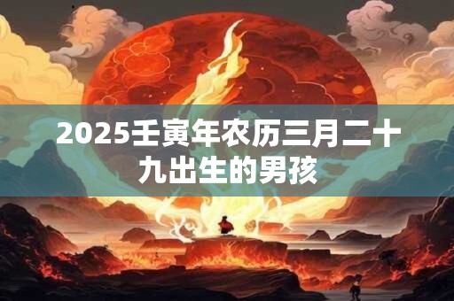 2025壬寅年农历三月二十九出生的男孩