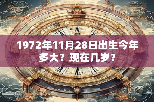 1972年11月28日出生今年多大？现在几岁？
