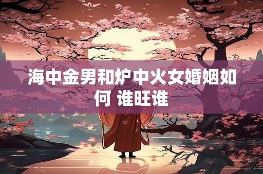 海中金男和炉中火女婚姻如何 谁旺谁