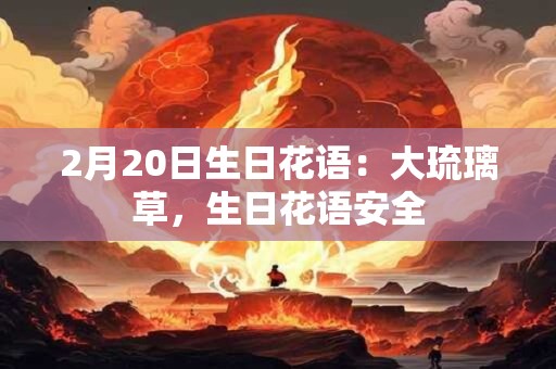 2月20日生日花语：大琉璃草，生日花语安全