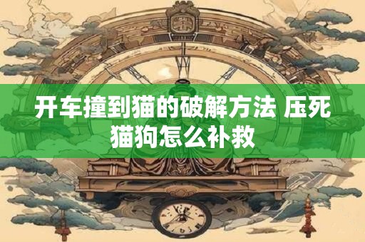 开车撞到猫的破解方法 压死猫狗怎么补救
