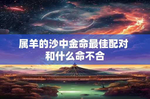 属羊的沙中金命最佳配对 和什么命不合
