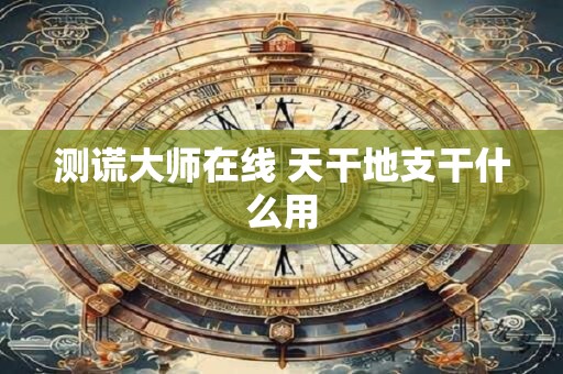 测谎大师在线 天干地支干什么用