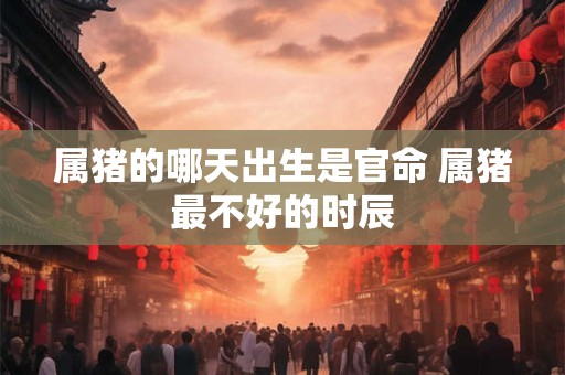 属猪的哪天出生是官命 属猪最不好的时辰