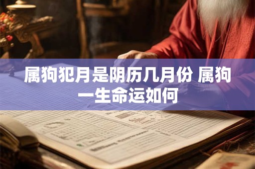 属狗犯月是阴历几月份 属狗一生命运如何