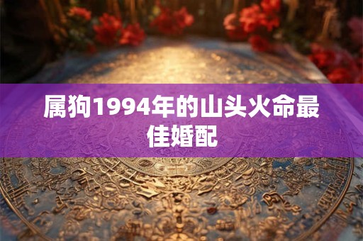 属狗1994年的山头火命最佳婚配