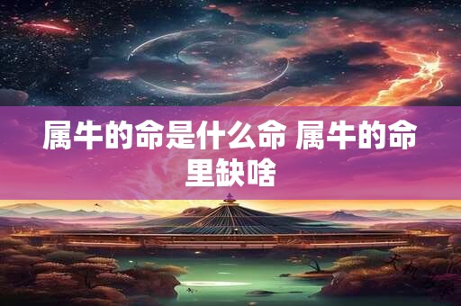 属牛的命是什么命 属牛的命里缺啥