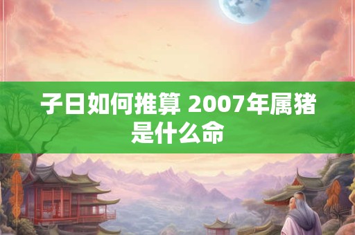 子日如何推算 2007年属猪是什么命