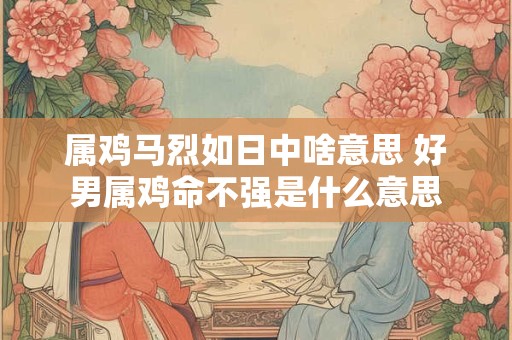 属鸡马烈如日中啥意思 好男属鸡命不强是什么意思