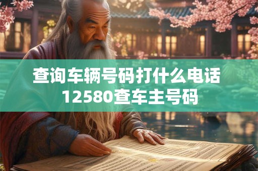 查询车辆号码打什么电话 12580查车主号码