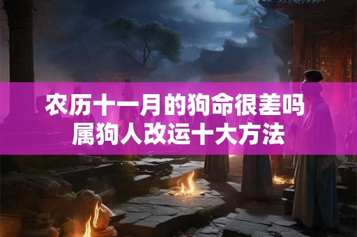 农历十一月的狗命很差吗 属狗人改运十大方法