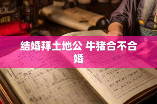 结婚拜土地公 牛猪合不合婚