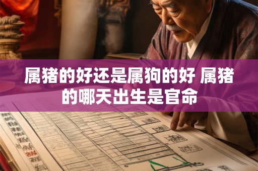 属猪的好还是属狗的好 属猪的哪天出生是官命