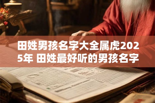 田姓男孩名字大全属虎2025年 田姓最好听的男孩名字