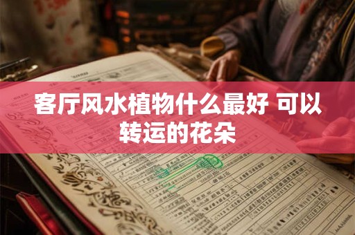 客厅风水植物什么最好 可以转运的花朵