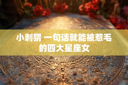 小刺猬 一句话就能被惹毛的四大星座女