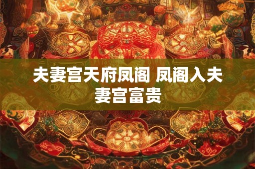 夫妻宫天府凤阁 凤阁入夫妻宫富贵