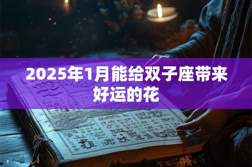 2025年1月能给双子座带来好运的花