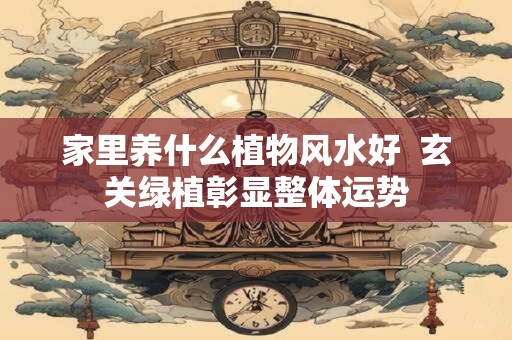家里养什么植物风水好  玄关绿植彰显整体运势