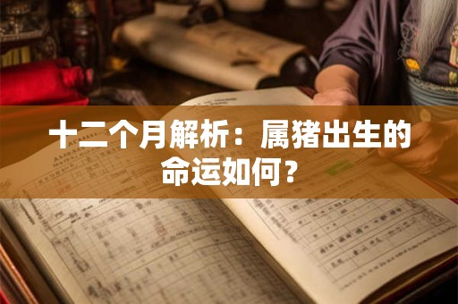 十二个月解析：属猪出生的命运如何？