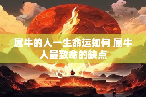 属牛的人一生命运如何 属牛人最致命的缺点