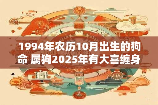 1994年农历10月出生的狗命 属狗2025年有大喜缠身