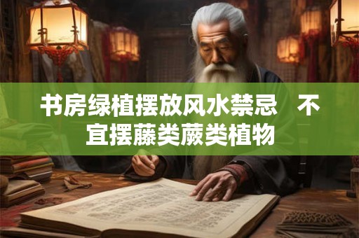 书房绿植摆放风水禁忌   不宜摆藤类蕨类植物