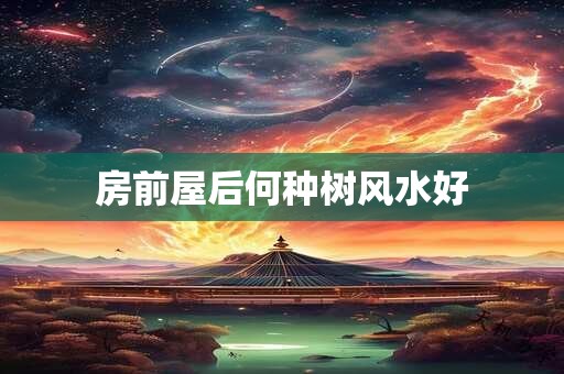 房前屋后何种树风水好