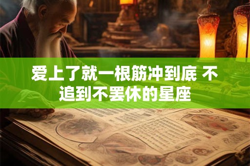 爱上了就一根筋冲到底 不追到不罢休的星座