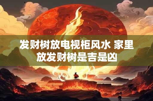 发财树放电视柜风水 家里放发财树是吉是凶