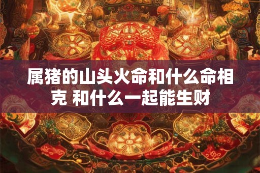 属猪的山头火命和什么命相克 和什么一起能生财