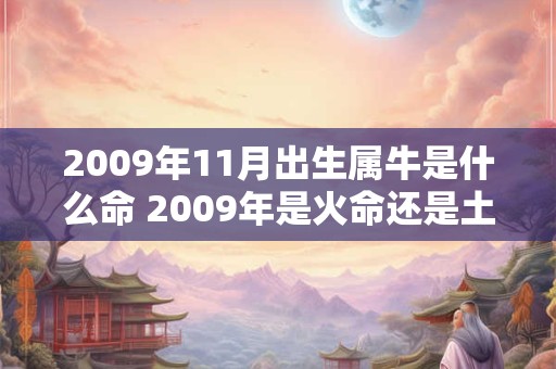 2009年11月出生属牛是什么命 2009年是火命还是土命