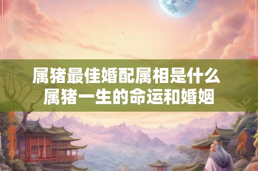 属猪最佳婚配属相是什么 属猪一生的命运和婚姻