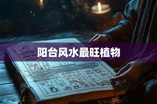 阳台风水最旺植物