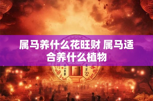 属马养什么花旺财 属马适合养什么植物