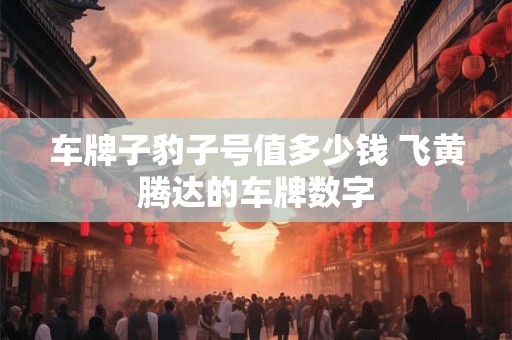 车牌子豹子号值多少钱 飞黄腾达的车牌数字