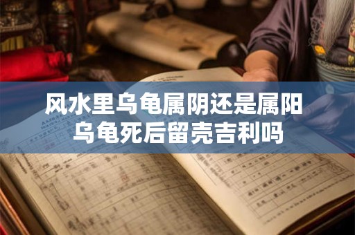 风水里乌龟属阴还是属阳 乌龟死后留壳吉利吗