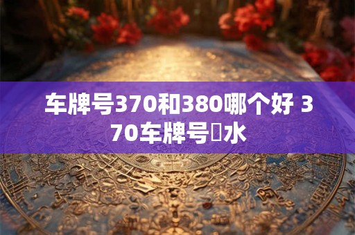 车牌号370和380哪个好 370车牌号風水