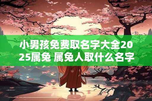 小男孩免费取名字大全2025属兔 属兔人取什么名字最好