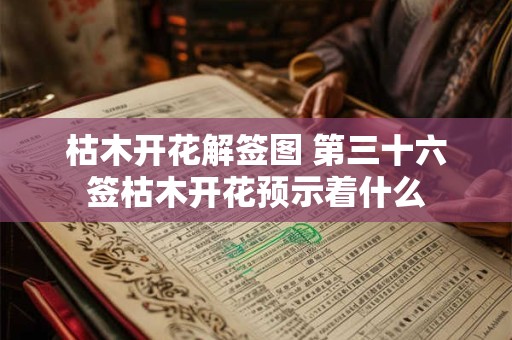 枯木开花解签图 第三十六签枯木开花预示着什么