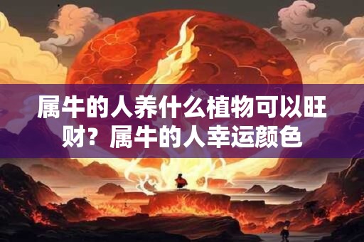 属牛的人养什么植物可以旺财？属牛的人幸运颜色