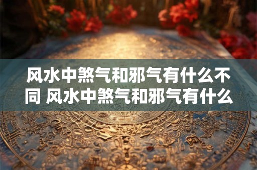 风水中煞气和邪气有什么不同 风水中煞气和邪气有什么不同吗