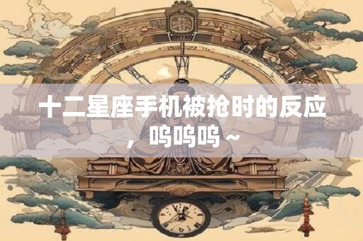 十二星座手机被抢时的反应，呜呜呜～