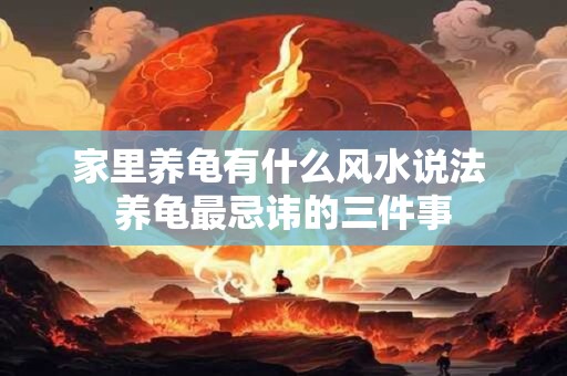 家里养龟有什么风水说法 养龟最忌讳的三件事